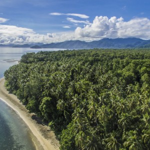 Solomonovy ostrovy