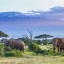 Časy přílivu a odlivu v Tanzánii